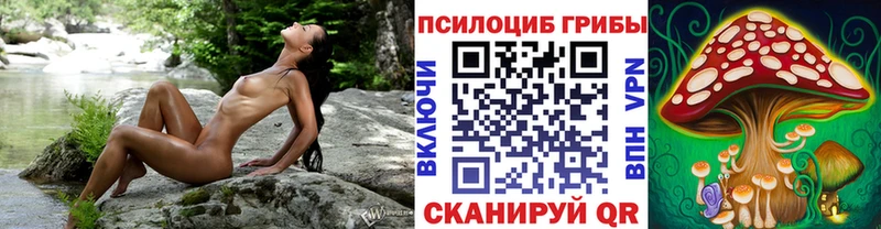 Галлюциногенные грибы MAGIC MUSHROOMS  как найти закладки  Новозыбков 
