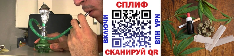 купить цена Новозыбков Конопля индика
